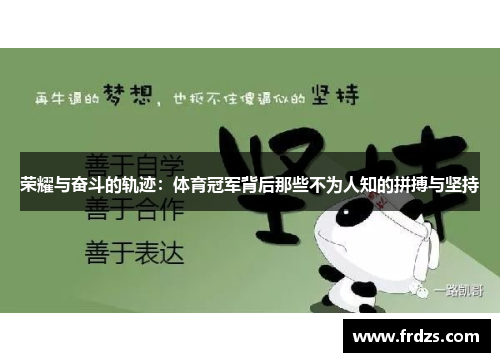 荣耀与奋斗的轨迹：体育冠军背后那些不为人知的拼搏与坚持